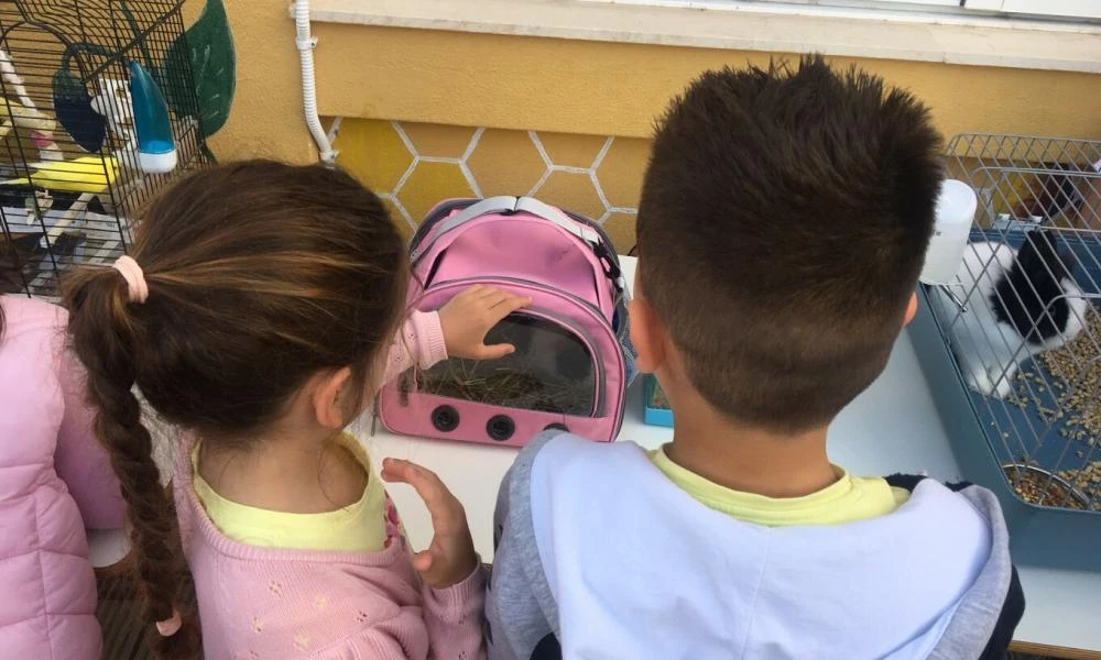 Κρήτη: Κατοικίδια και μαθητές δημοτικού έκαναν μαζί μάθημα